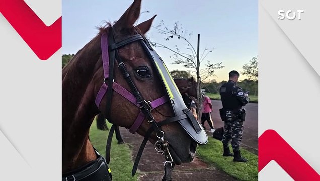 Pego a galope: Homem tenta fugir e ameaça policiais da Cavalaria com faca no lago municipal em Cascavel