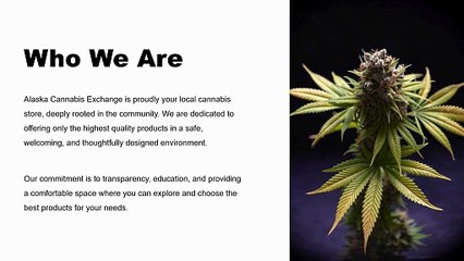Trusted Cannabis Store in Anchorage AK | Quality Products