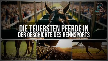 Die teuersten Rennpferde der Geschichte | Unglaubliche Rekordpreise