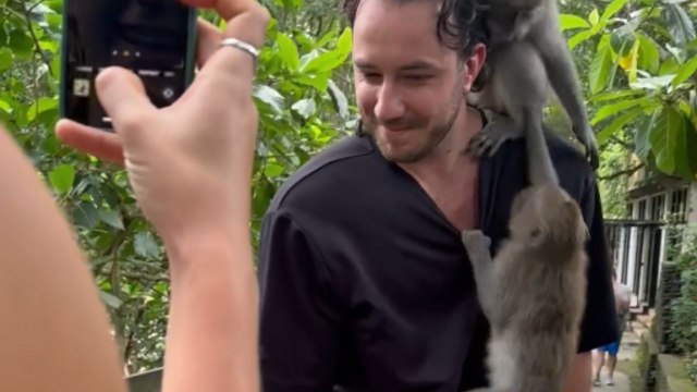 Tourist turns into jungle gym for monkeys during visit to Ubud Monkey Forest