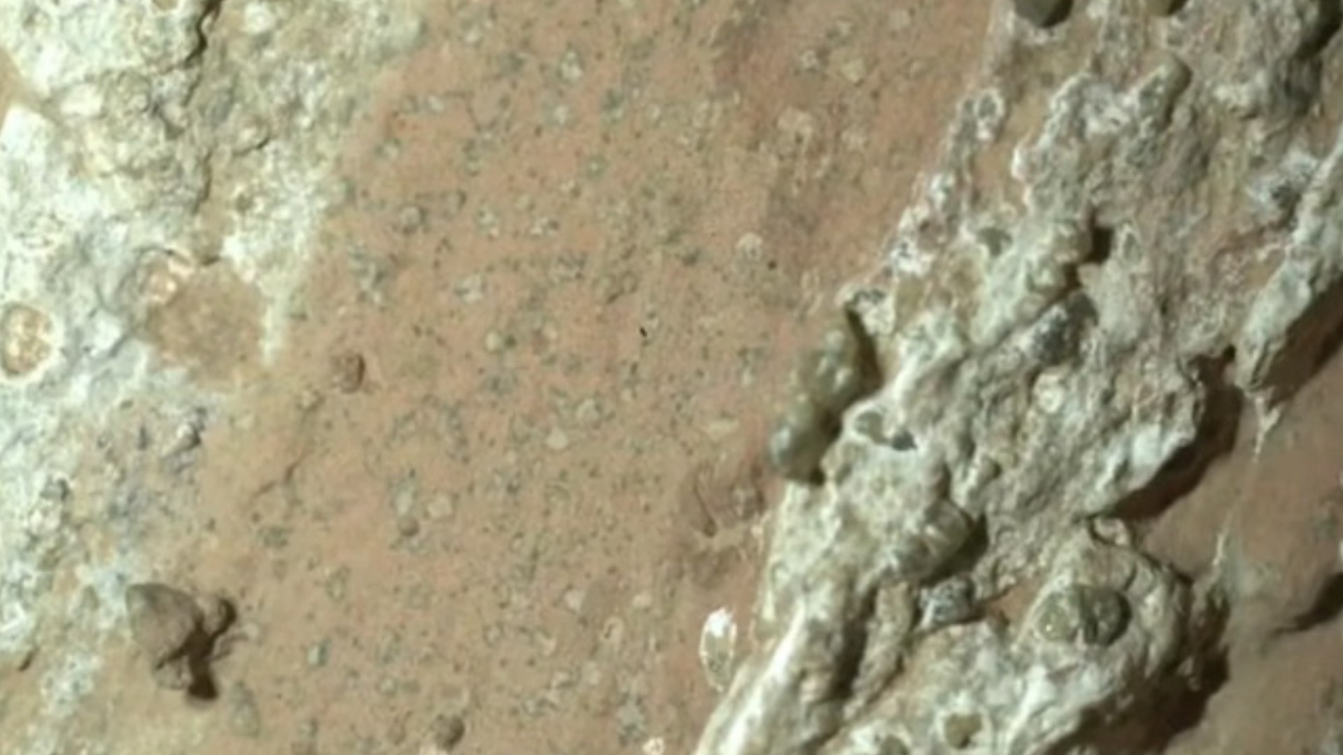 La NASA descubre posibles señales de vida en unas rocas de Marte