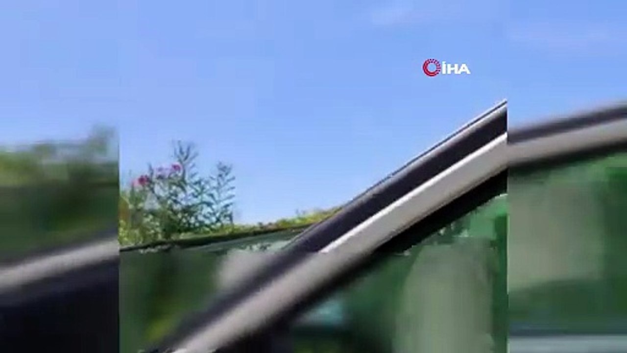 Bodrum\'da Sivil zabıtaya suçüstü yakalandılar