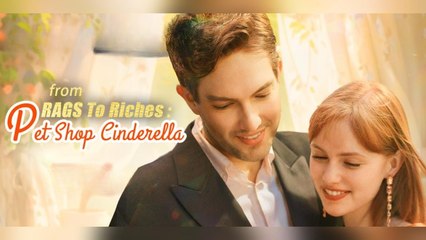 From Rags To Riches Pet Shop Cinderella Hit