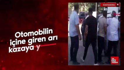Kastamonu'da otomobilin içine giren arı, kazaya yol açtı
