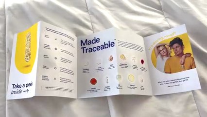 Want to Be a Consultant Down Under? Tasks, Trials & Truths