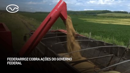 Federarroz cobra ações do governo federal