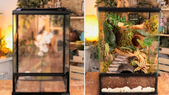 DIY Crafts for Pets: Creative Projects for Your Friends