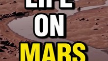 Life on Mars. NASA’s shocking find