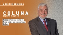 Grãos em queda nesta 4ª feira; café e boi reagem nas bolsas