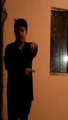 combinación de golpes #2 kung fu choy lee fut