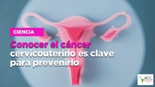 Conocer el cáncer cervicouterino es clave para prevenirlo
