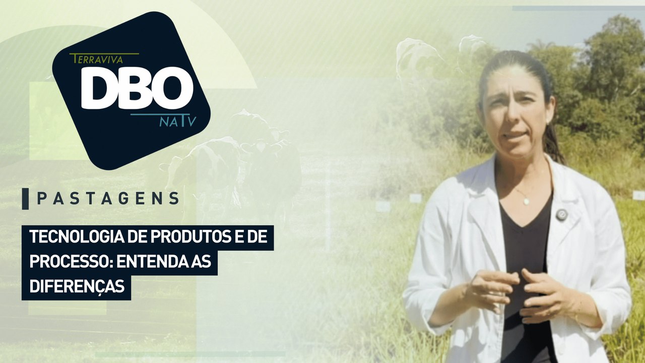 Pastagens: tecnologia de produtos e de processo: entenda as diferenças