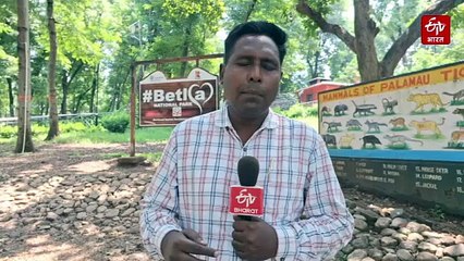 वन शहीद दिवस: नक्सल दौर में 13 वनकर्मी हुए हैं शहीद, तस्करी रोकने पर काट दिया गया था गला