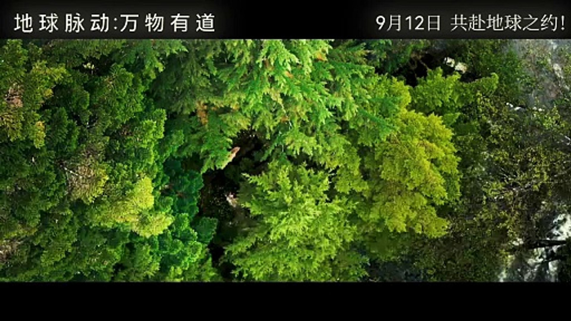 ⁣地球脉动：万物有道 | movie | 2025 | Official Trailer