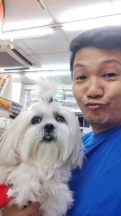 🔴 ANOTHER THURSDAY WALK WITH MY CUTIE PICKLES #shihtzu