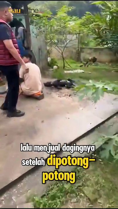 Polresta Pekanbaru Tangkap Dua Pelaku Bisnis Daging Anjing Ilegal