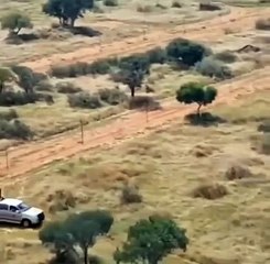 That's at least 600 kg of speed. If you catch it, it's gone.  There's nothing left!