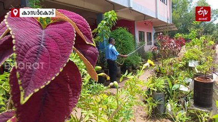 ഇത് ഫിൽറ്ററിൽ വിരിഞ്ഞ പൂന്തോട്ടം; നയനമനോഹരം കാഞ്ഞങ്ങാട് കെഎസ്‌ആർടിസി ഡിപ്പോ, അശോകന്‍ എന്ന ഉദ്യാനപാലകന്‍
