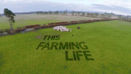 This Farming Life S01E08 Scotland