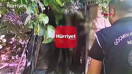 81 ilde göçmen kaçakçılığı organizatörlerine operasyon