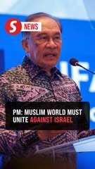 Stand up to Israel's madness, arrogance, Anwar tells Muslim countries