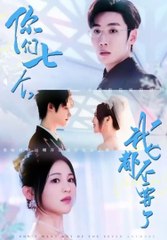 Don't Want Any of You Seven Anymore full movie