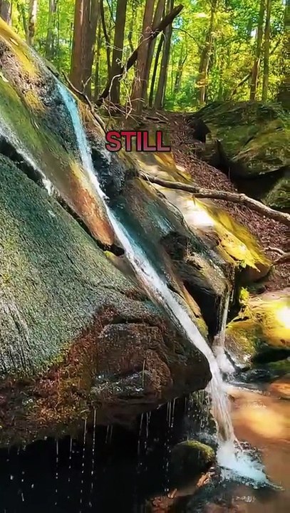 You Are Stronger Than You Think