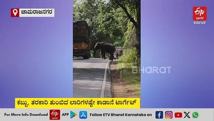 ರಸ್ತೆಗಿಳಿದ ವಸೂಲಿಗಾರ: ಕಬ್ಬು ತುಂಬಿದ ಲಾರಿ ಕಂಡಿದ್ದೇ ತಡ ದಾಳಿ ಮಾಡಿದ ಕಾಡಾನೆ