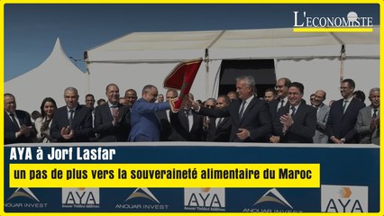 AYA à Jorf Lasfar : un pas de plus vers la souveraineté alimentaire du Maroc