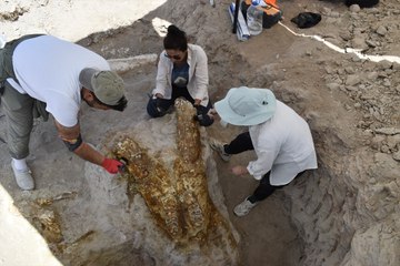 Kayseri'de bulundu! Tam 7,7 milyon yıllık