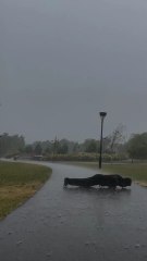 Motivated speech💪💪