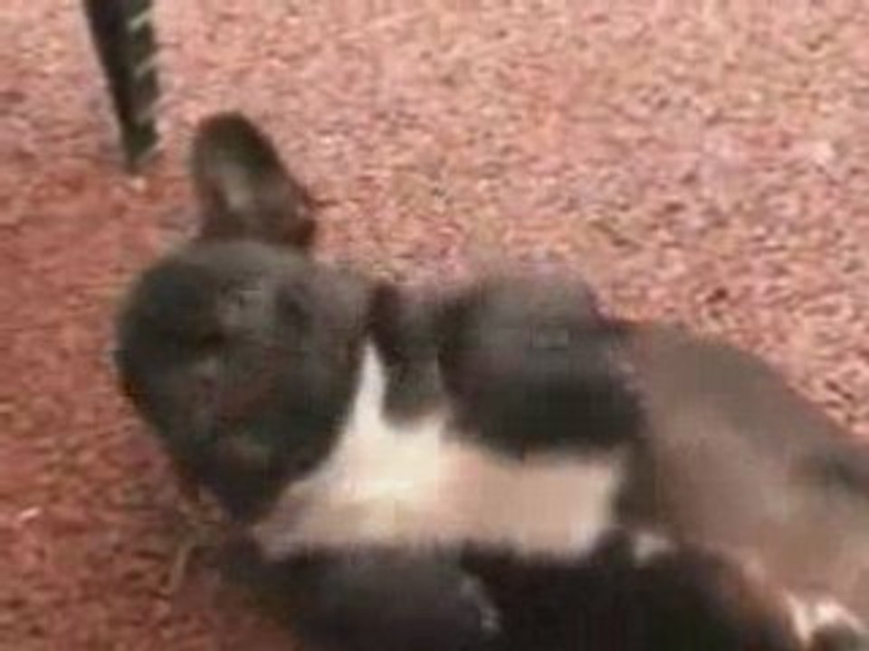 Cassius le taulier_0001