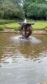 Water Fountain Shillong Meghalaya
