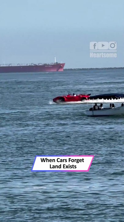 Car Spotted Driving on Ocean Waves Like It’s a Road! 🌊🚗