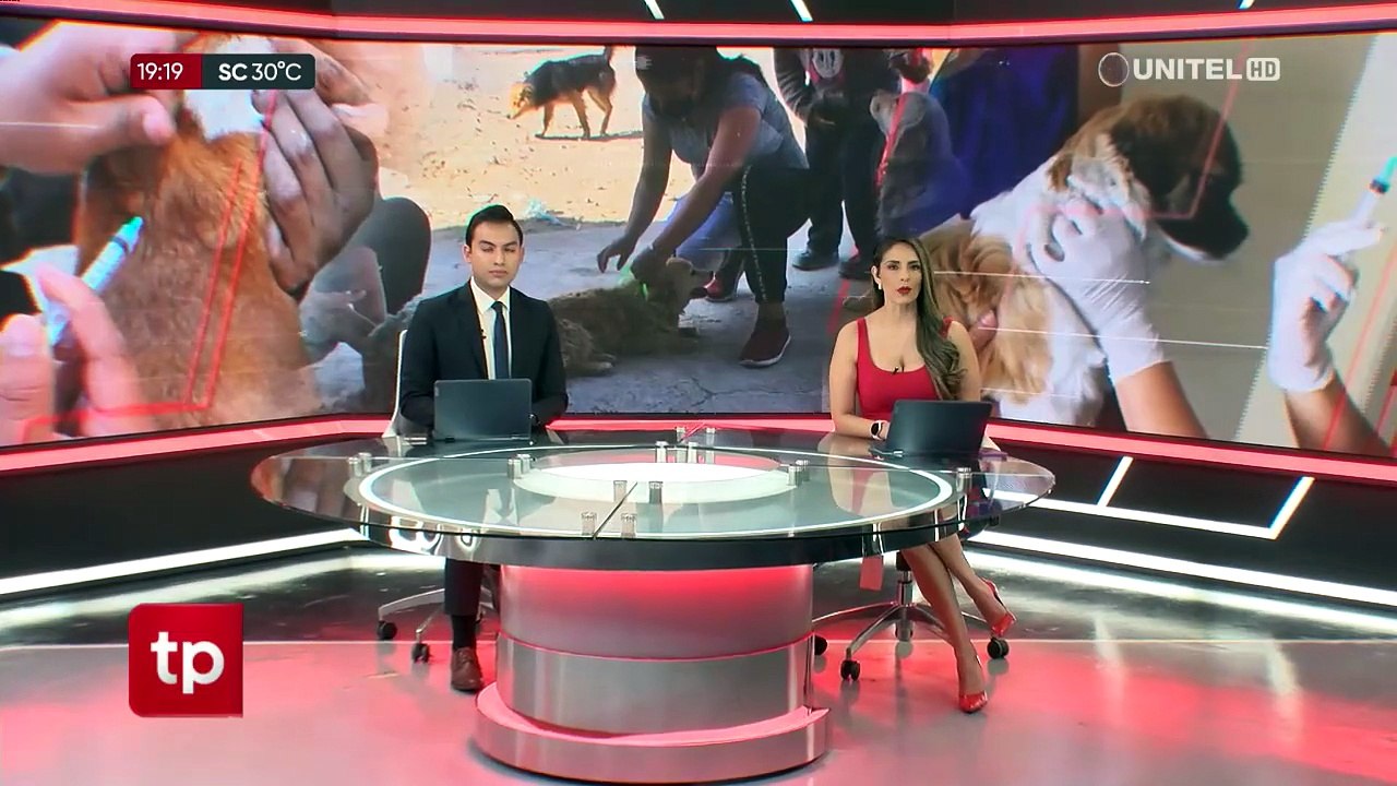 Suman tres nuevos casos de rabia canina en Cochabamba y suben a 10 en lo que va del año