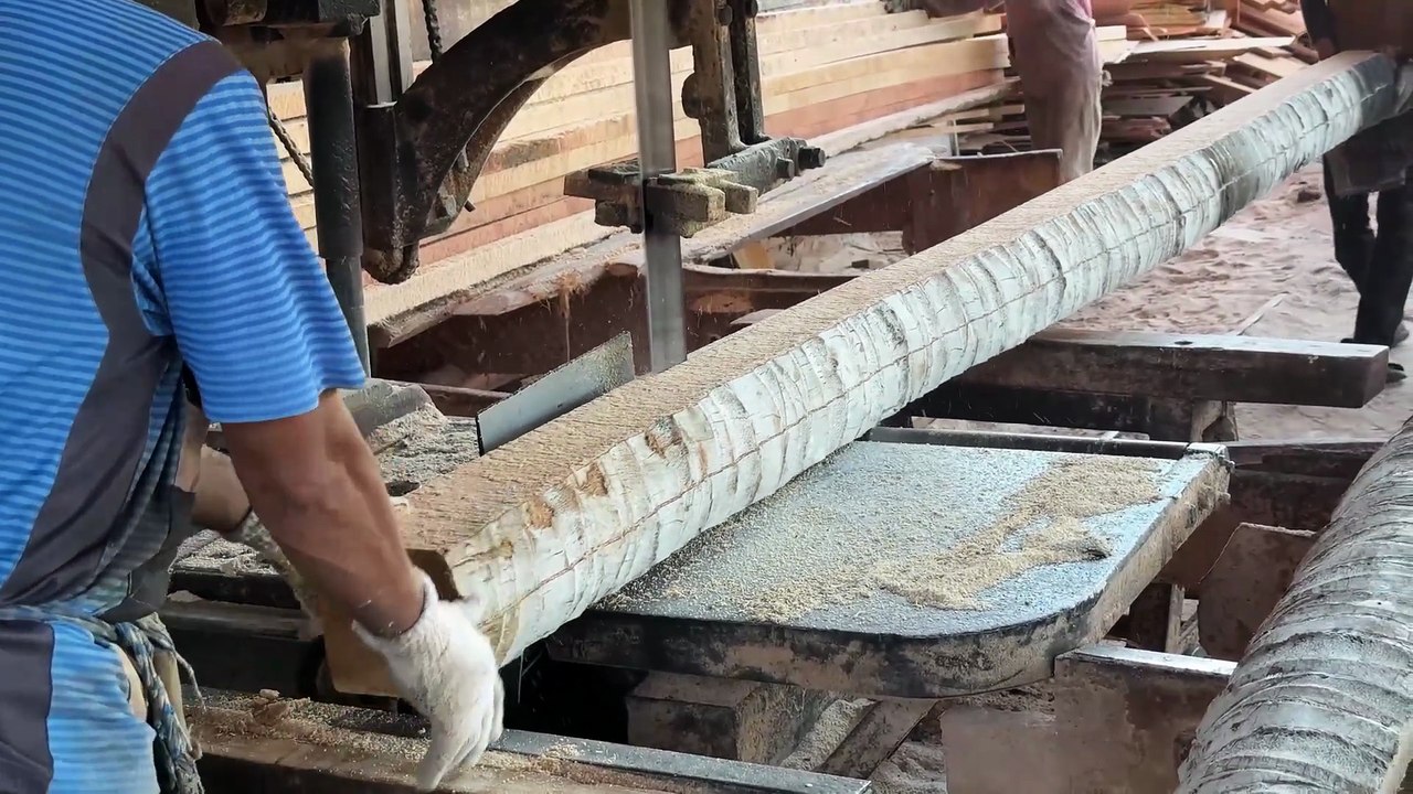 Safety in Sawing Coconut Trees 5x7 with a Sawmill Machine