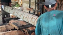 Using a Sawmill to Saw 5x7 Coconut Trees with Precision Results