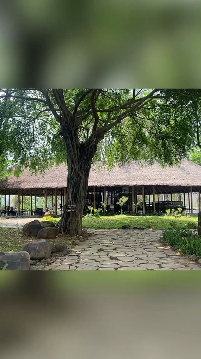Thưởng thức quán cà phê dưới ngôi nhà tre uốn cong – Trải nghiệm kiến ai cũng muốn thử một lần - Tre trúc Ngọc Dương