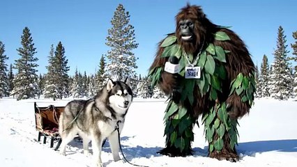 bigfoot interview part 6