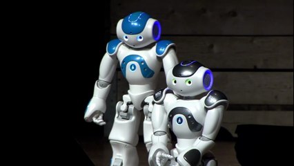ANIMATION ROBOT NAO : Une DÉMONSTRATION TECHNOLOGIQUE UNIQUE pour vos ÉVÉNEMENTS PRO
