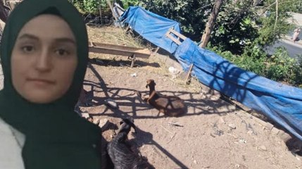 Yerde hareketsiz yatan keçiye dokununca akıma kapılıp öldü