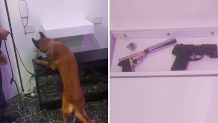 Arrestato il trapper Baby Gang: nella sua casa di Calolziocorte trovate due pistole clandestine nascoste