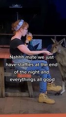 Kangaroo diaries only in Australia 🇦🇺