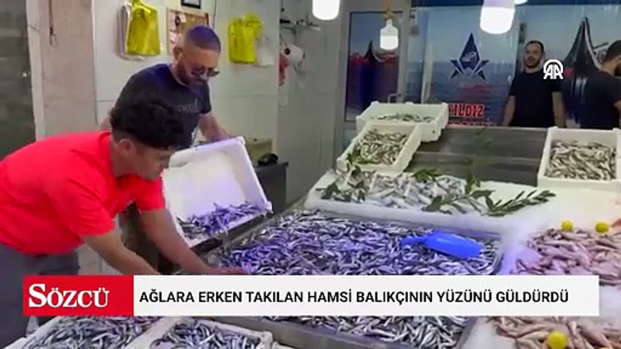 Hamsi, mezgit, barbun ve istavrit ağlara erken takıldı: Kilosu 200 TL