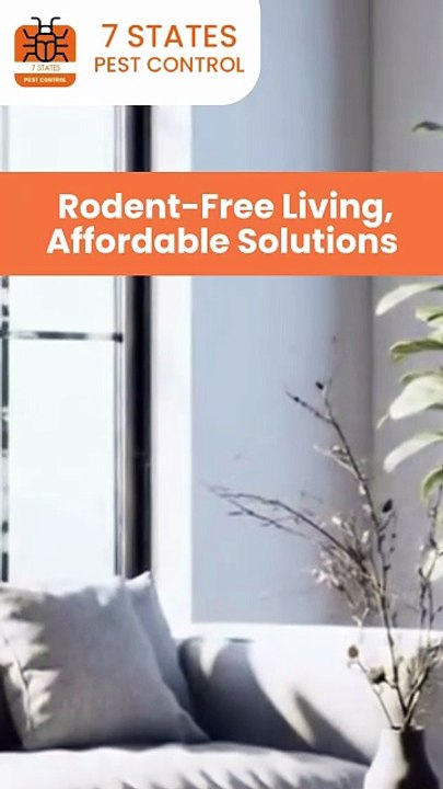 Affordable Rodent Control in Melbourne – Safe, Fast & Effective