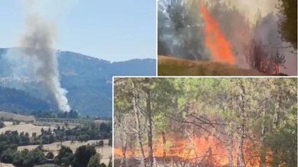 Denizli’nin Buldan ilçesinde ormanlık alanda yangın
