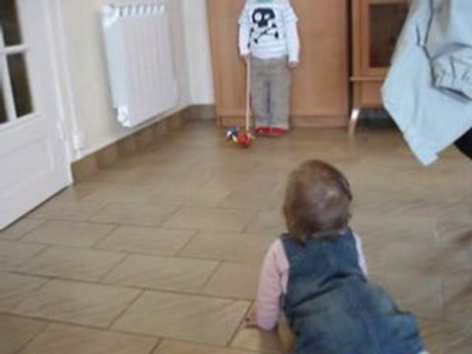 Ludo Clervie Canard