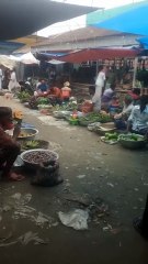 গ্রামের নিরিবিলি প্রাকৃতিক বাজার ❤️🥰