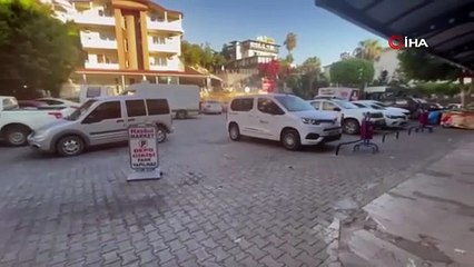 Köpeğiyle kavga eden kediyi tekmeleyip metrelerce havaya fırlatmıştı, tutuklandı