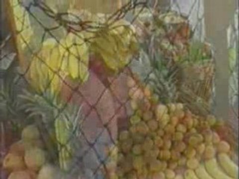 david-duchemin.com Téléchargez le livre les secrets du marketing de réseau